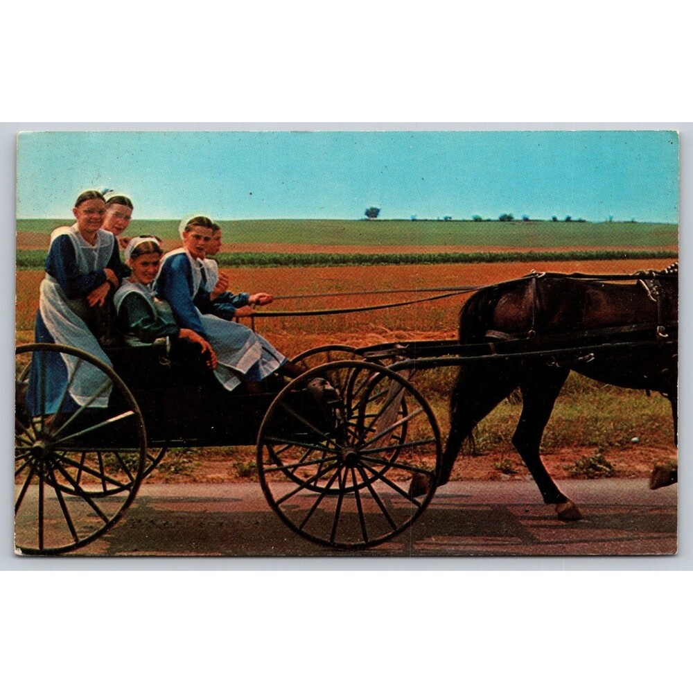 Vintage Postcard Amish Girls Horse & Buggy Pennsylvania Dutch Country Unposted